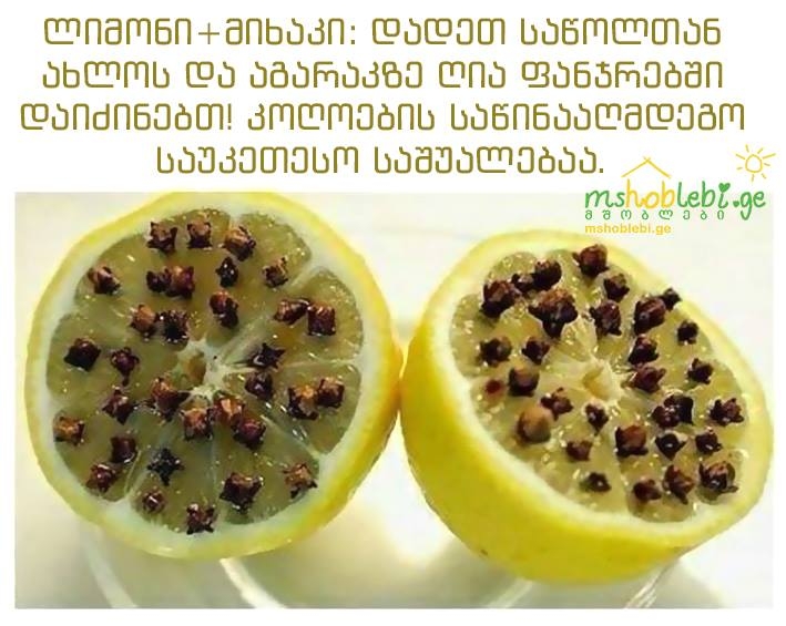 მცენარეები, რომლებიც კოღოებს აფრთხობენ mshoblebi