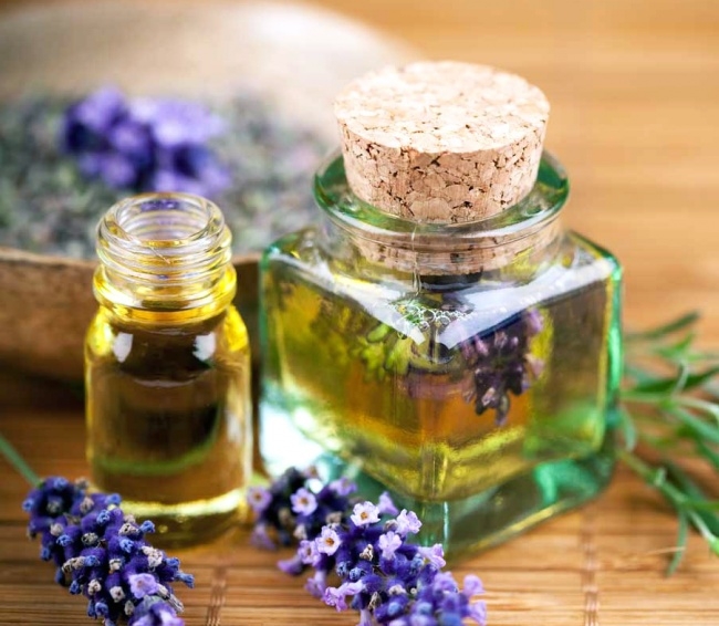 10 საუკეთესო მეთოდი კოღოებთან და ნაკბენებთან საბრძოლველად  mshoblebi