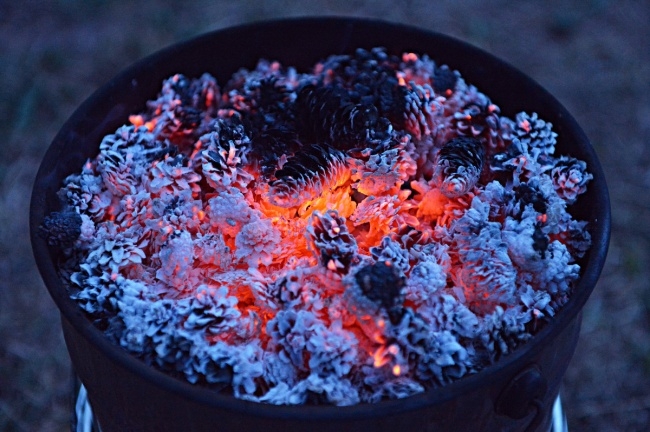 10 საუკეთესო მეთოდი კოღოებთან და ნაკბენებთან საბრძოლველად  mshoblebi