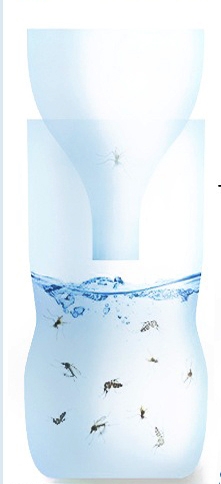 10 საუკეთესო მეთოდი კოღოებთან და ნაკბენებთან საბრძოლველად  mshoblebi