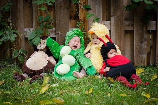 მამლის წელში საოცარი შესაძლებლობების ბავშვები დაიბადებიან - რას გკარნახობთ ჰოროსკოპი mshoblebi