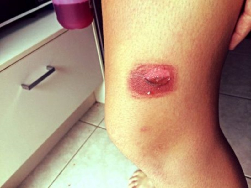 ეს უნდა იცოდეთ! ბავშვებში პოპულარობით სარგებლობს  mshoblebi