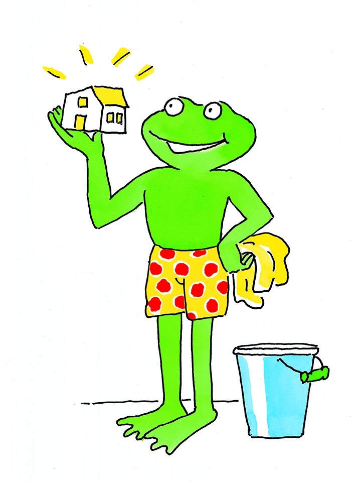 Frosch-ის 7 რჩევა, როგორ დავასუფთავოთ სახლი ეფექტურად mshoblebi