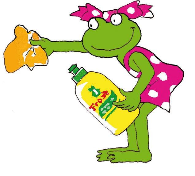 Frosch-ის 7 რჩევა, როგორ დავასუფთავოთ სახლი ეფექტურად mshoblebi