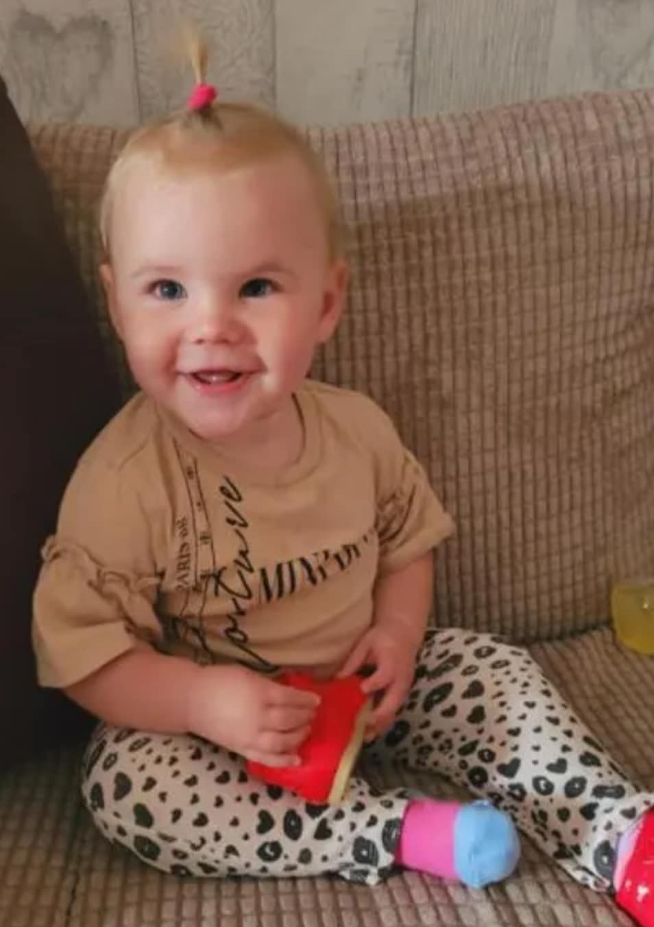 პატარა გოგონა საკუთარმა ძაღლმა დაკბინა და გარდაიცვალა - მეზობლები ძაღლის აგრესიით შეშფოთებულები იყვნენ mshoblebi