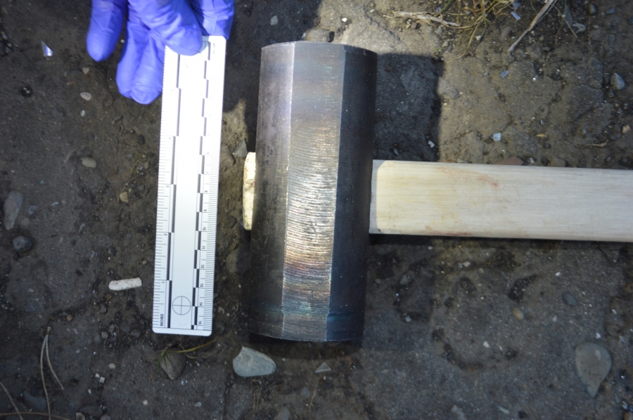 მაგდა პაპიძეს წინასწარ ჰქონდა განზრახული მეუღლისა და შვილის მკვლელობა - პროკურატურის განცხადება mshoblebi