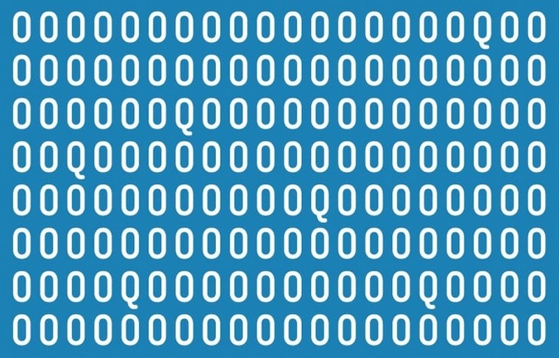 5-1686857687.jpg