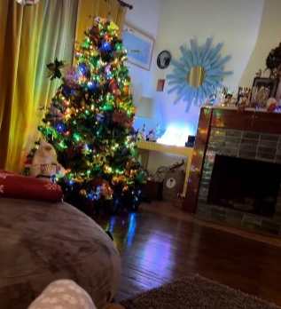 image-1-1703523502.png